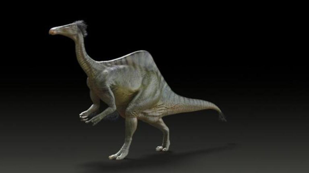 Dinosaurus