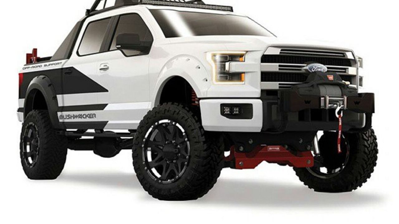 Ford F150 Bushwacker