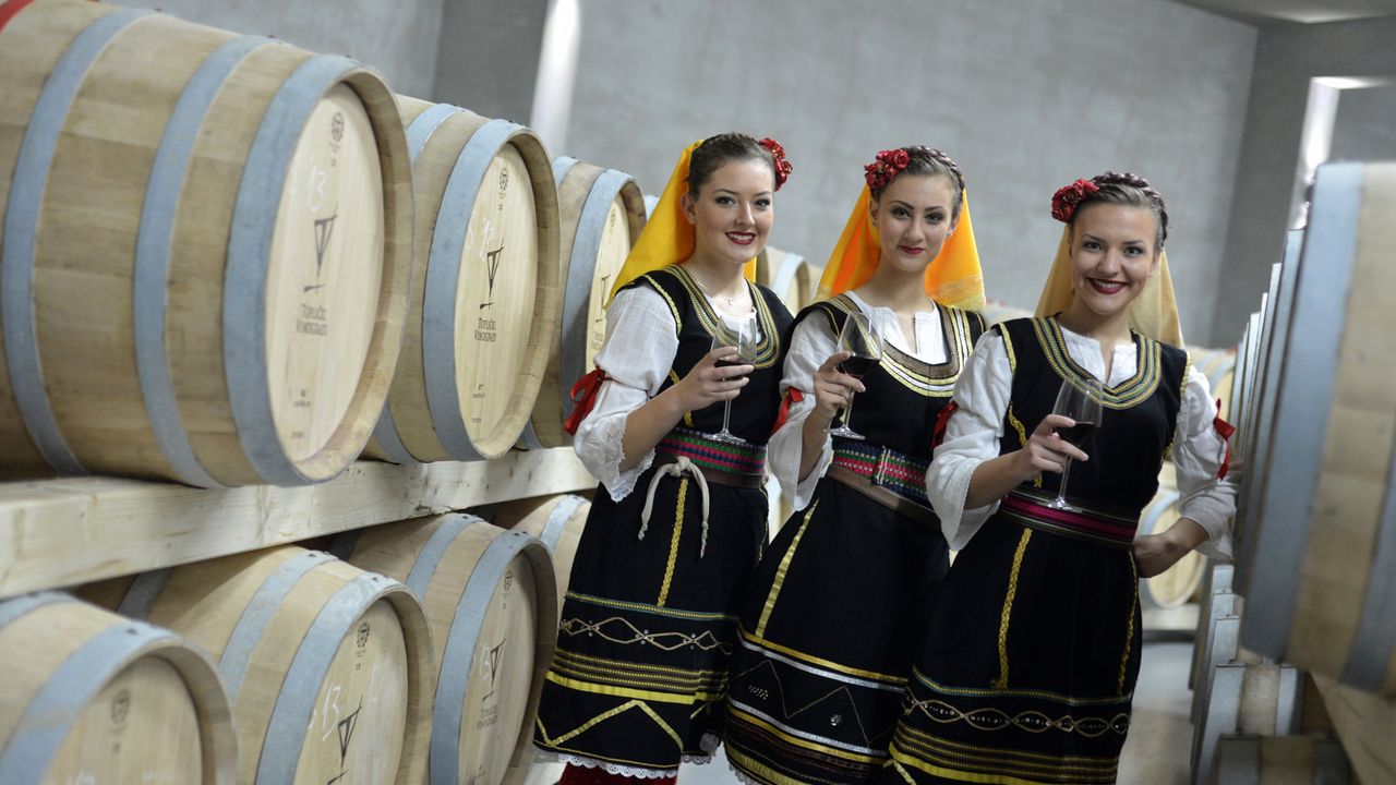Vinarija Toplicki vinogradi
