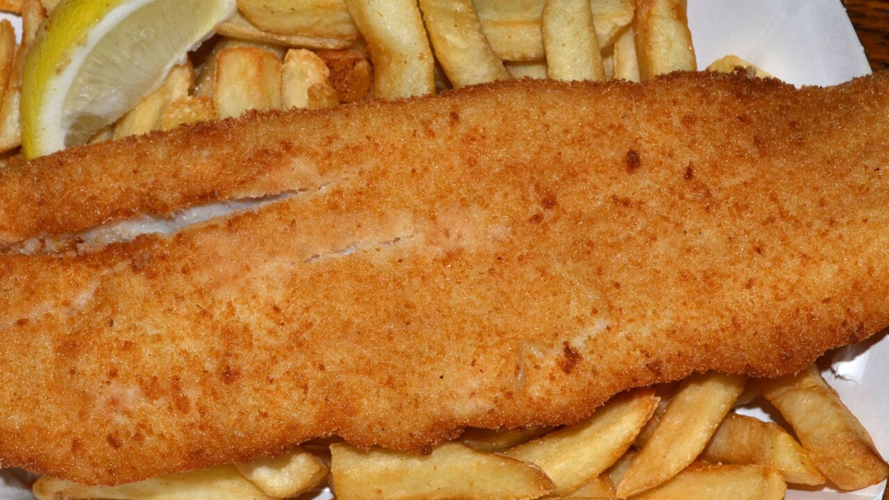 Šnicle od lignji