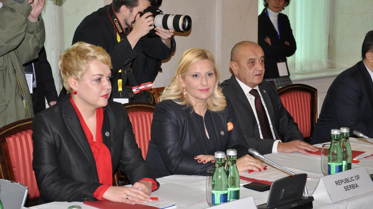 Zorana Mihajlović