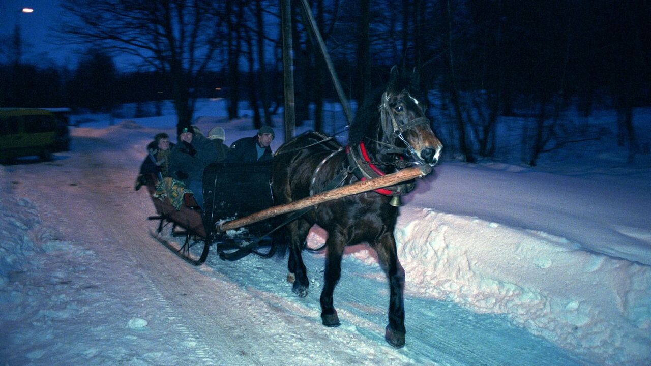 Konj prevozi ljude na snegu