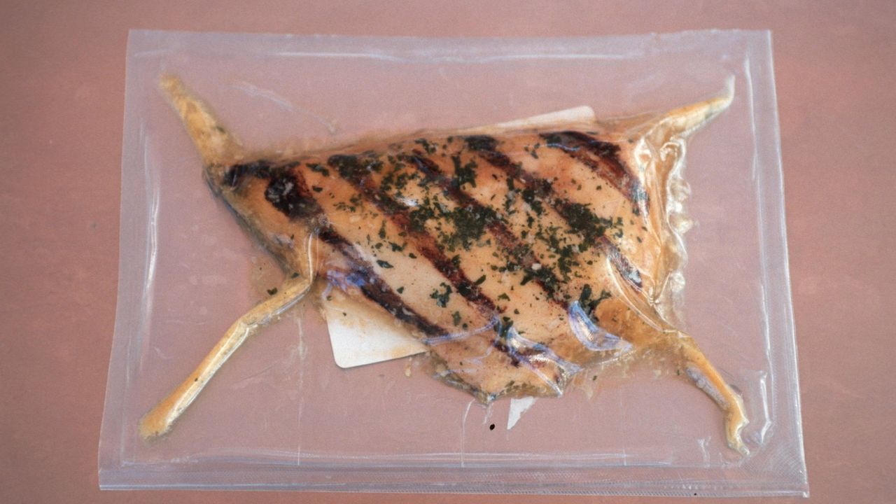 vakumirano meso