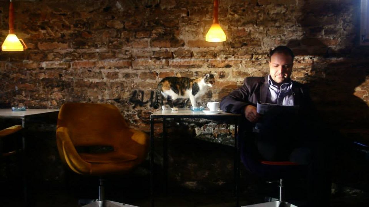 Istok pavlović