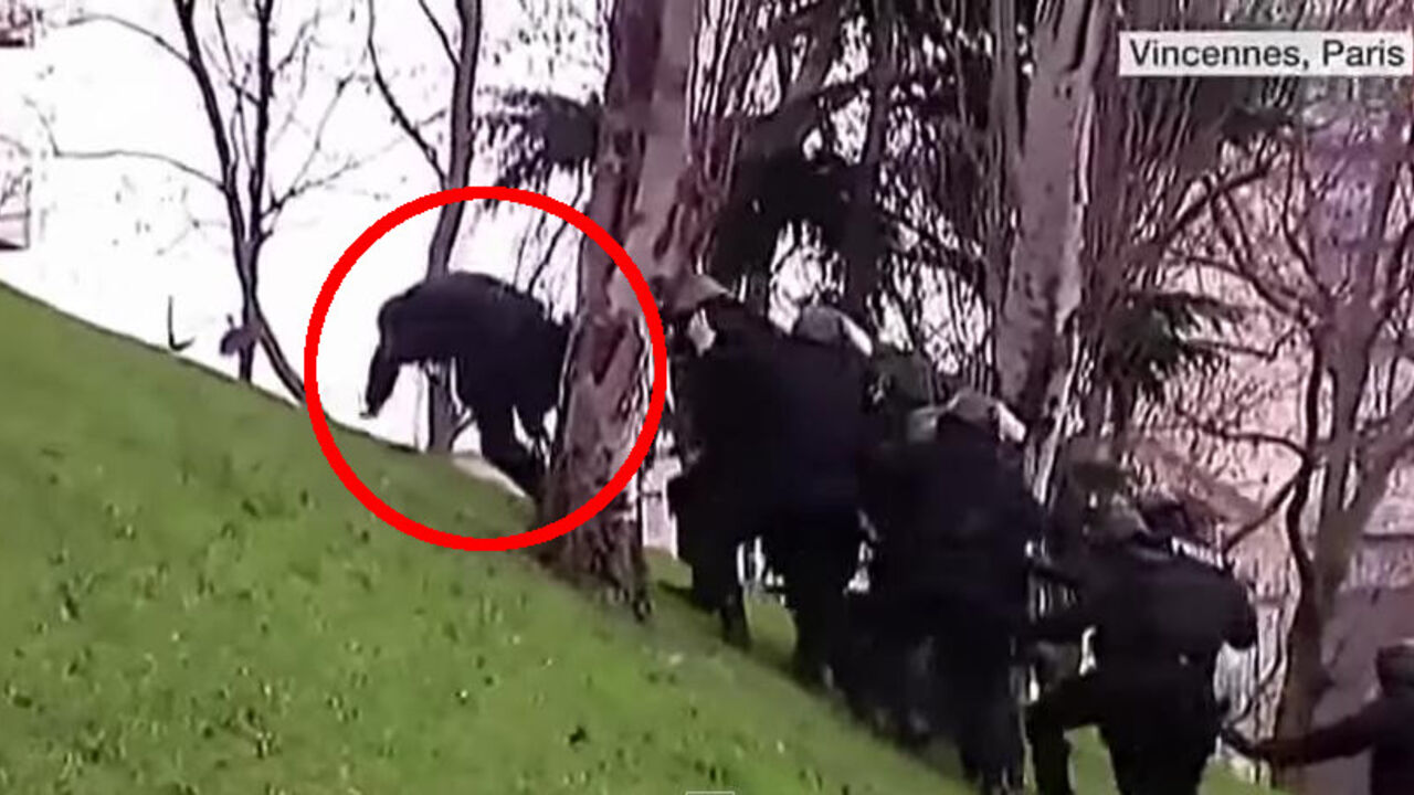 Policajac pada
