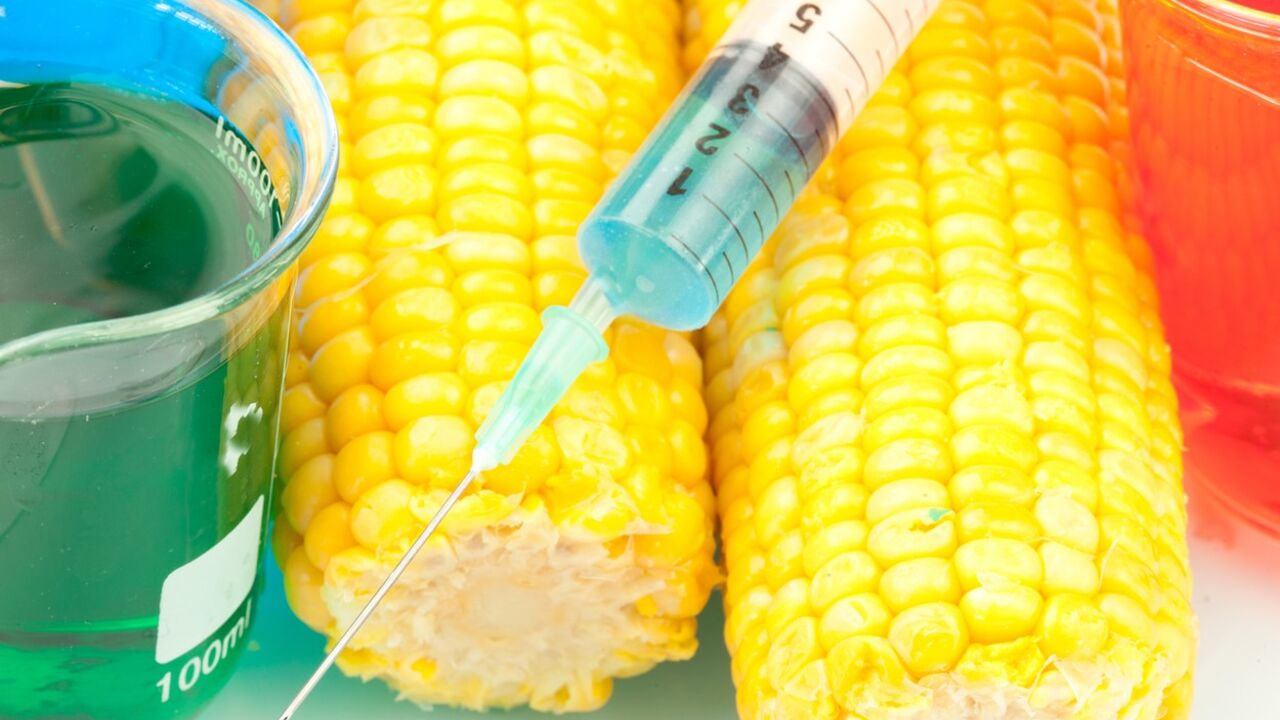 GMO hrana