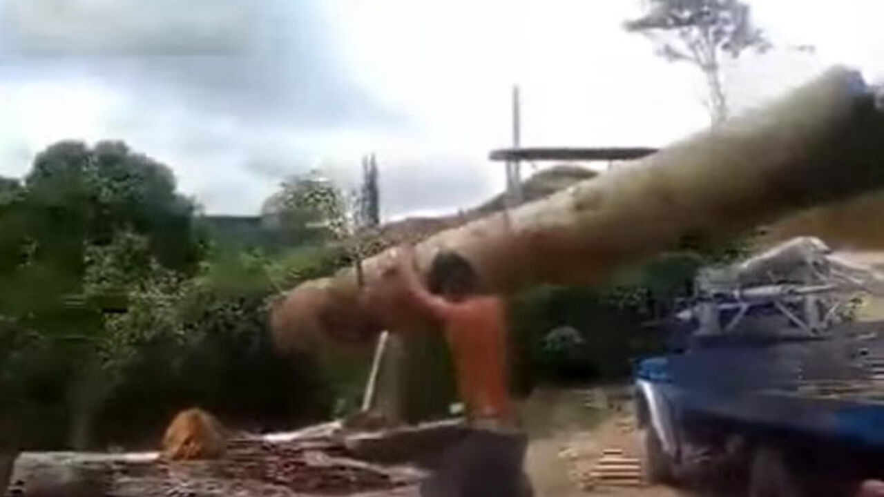 Momak diže trupce na kamion