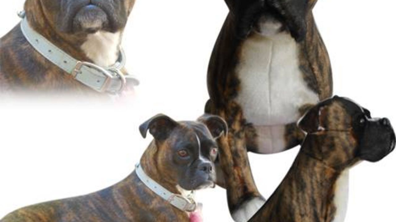 Psi - klonovi