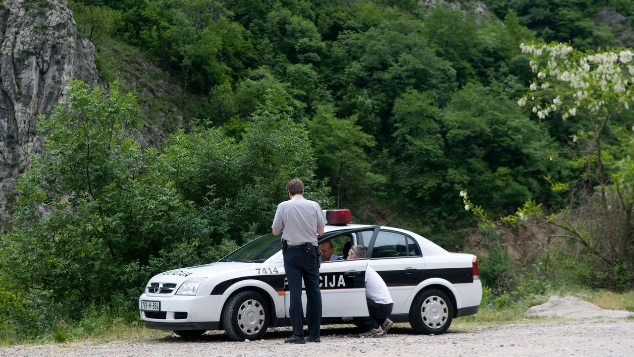 policija, Bosna