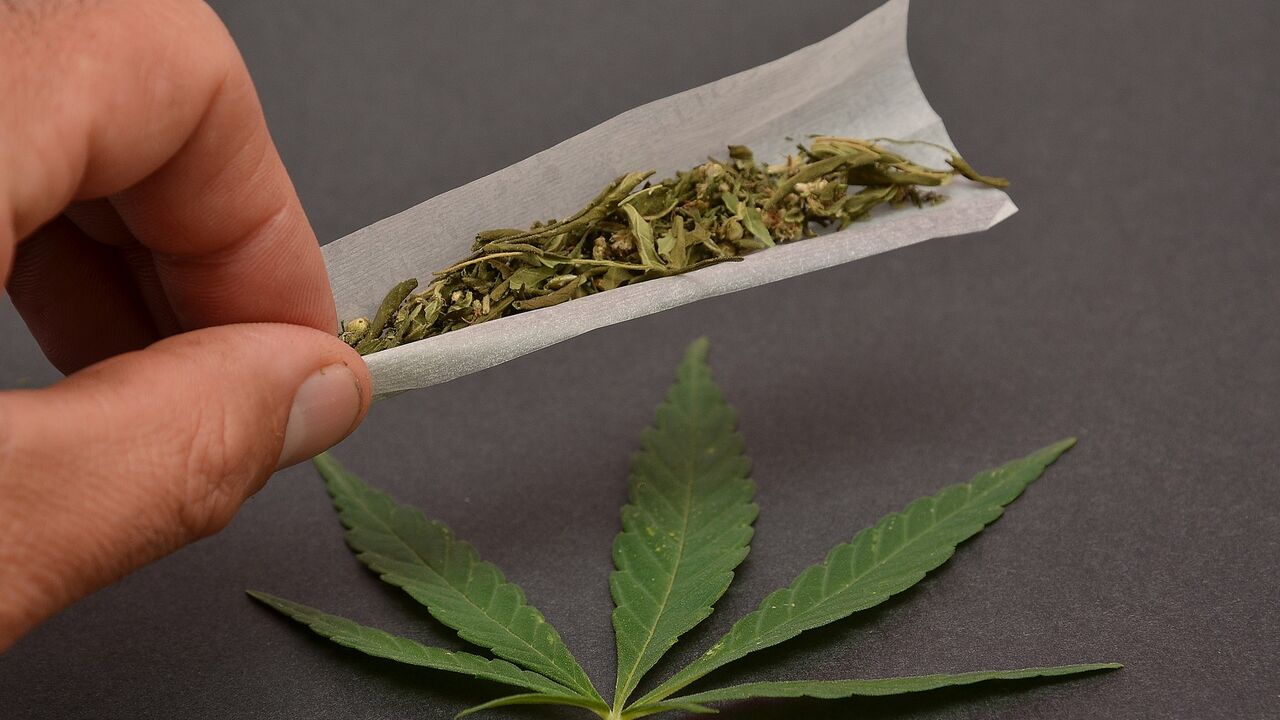 marihuana, džoint
