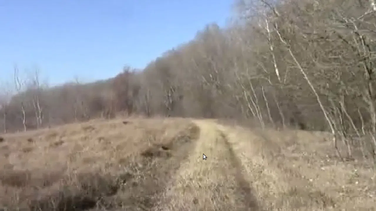 granica Mađarske i Srbije