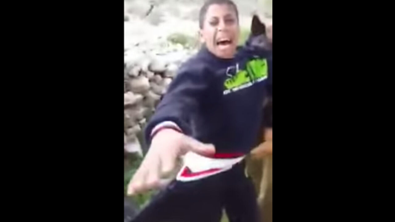 Pas napada mladog Palestinca dok ga drže izraelski vojnici
