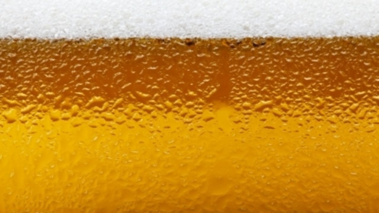 Pivo