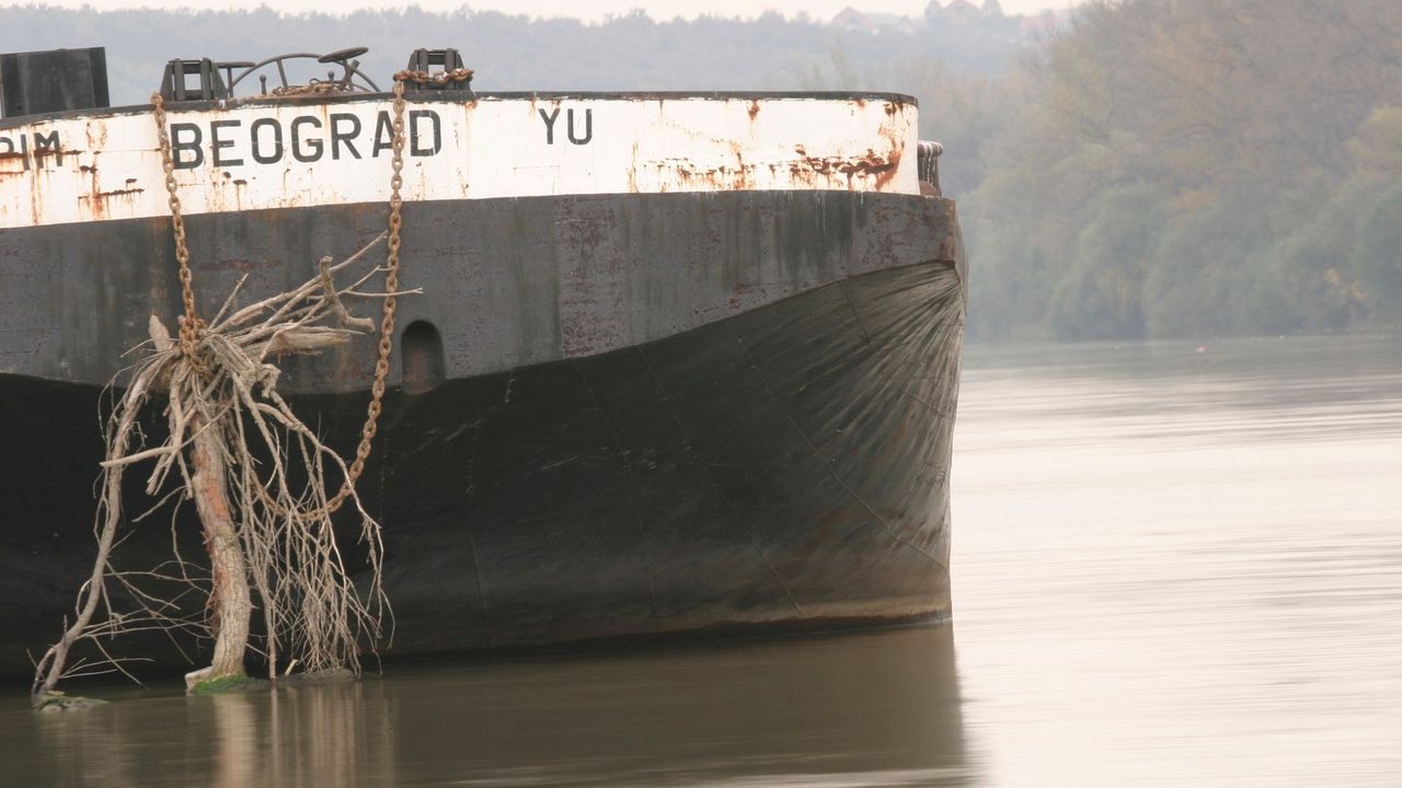 Dunav