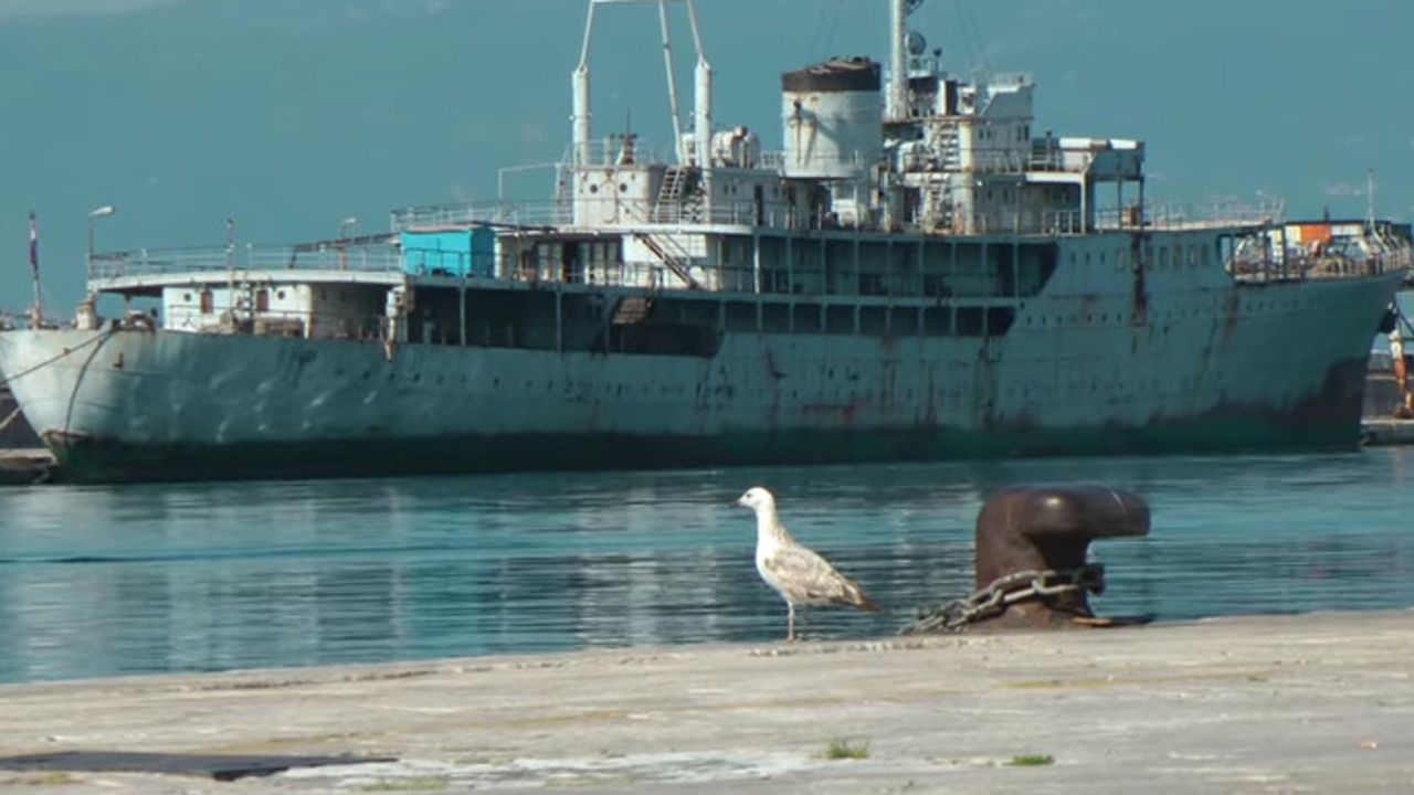 Galeb