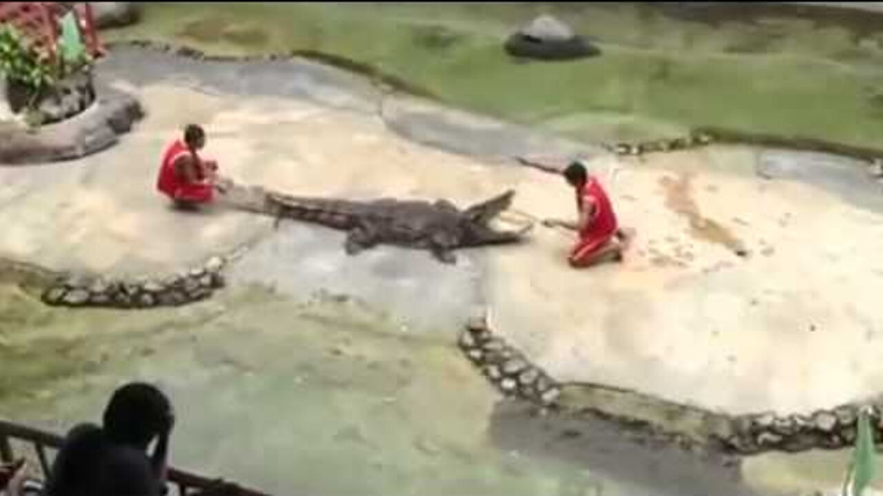 Krokodil