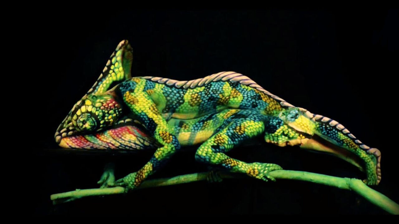 Kameleon