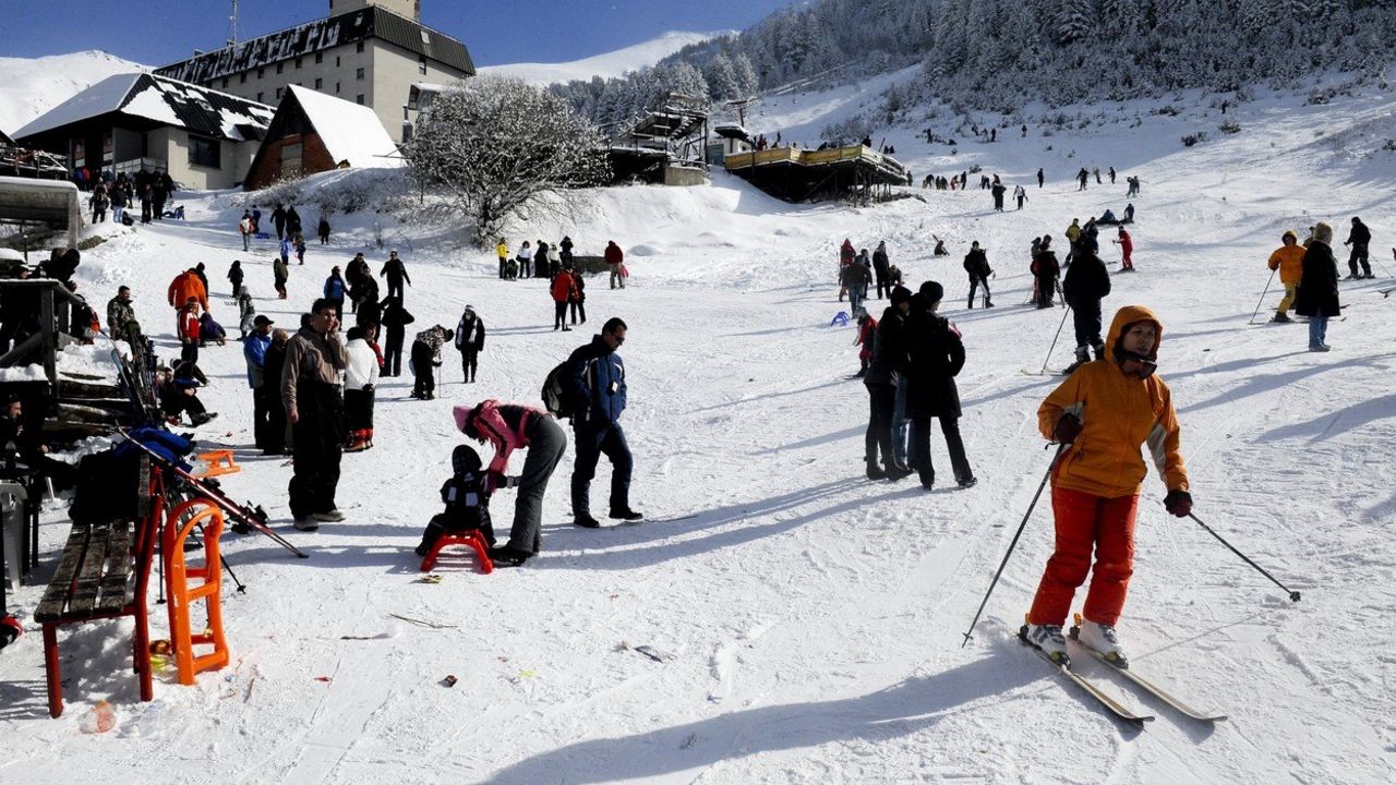 Brezovica