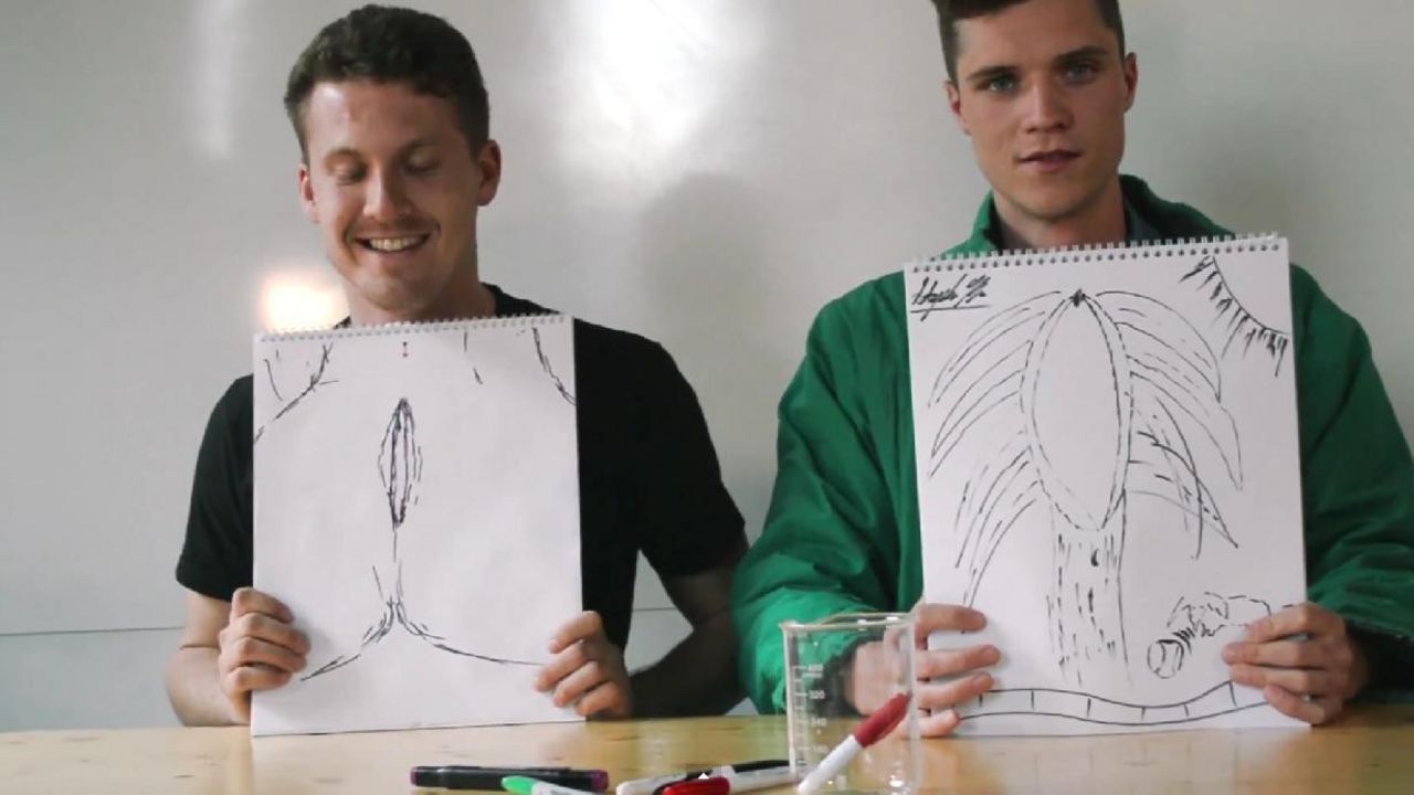 Muškarci pokazuju crteže vagine