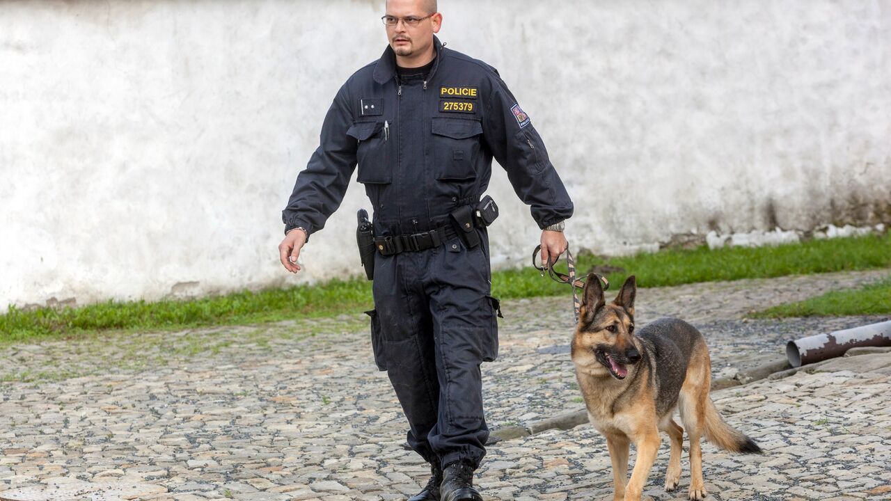 Nemački policajac