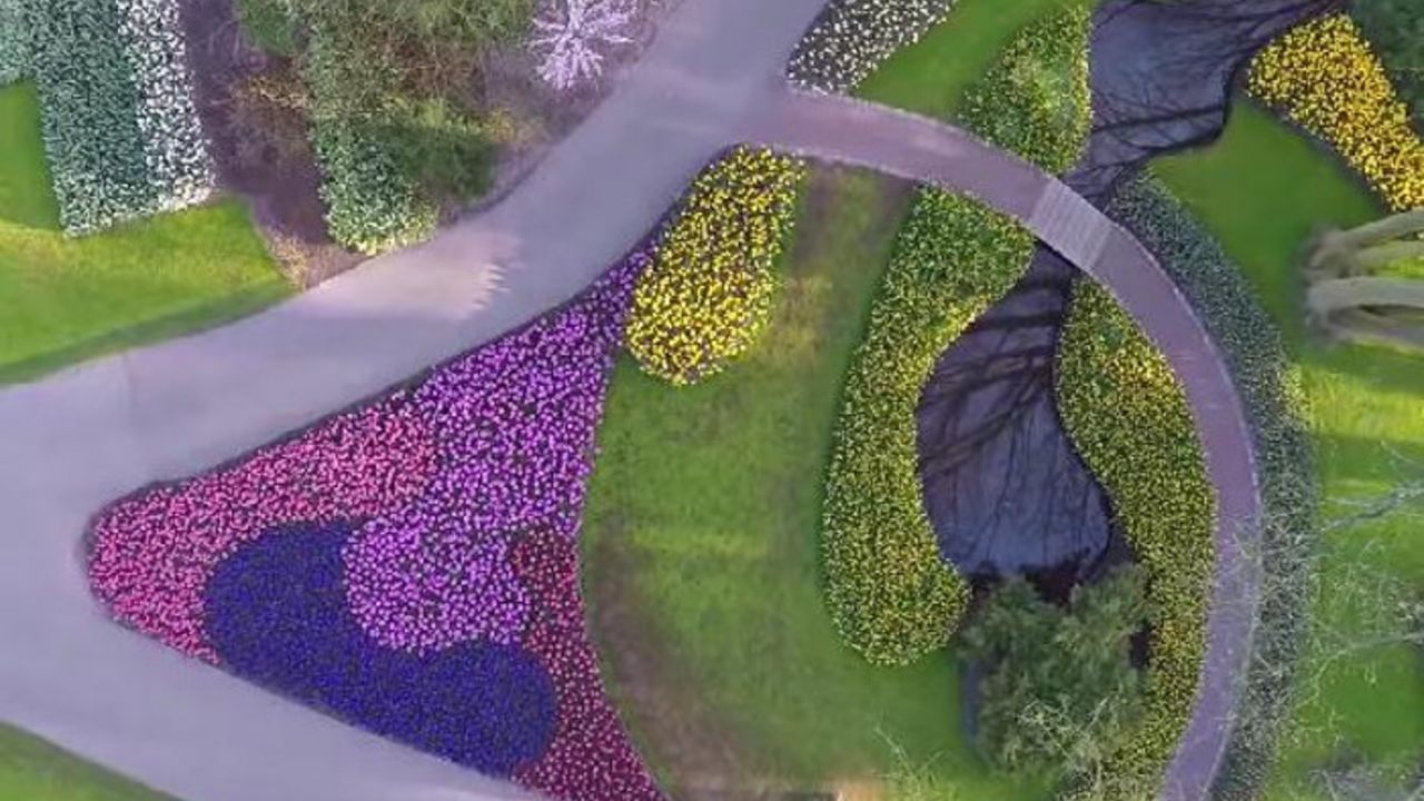 Keukenhof