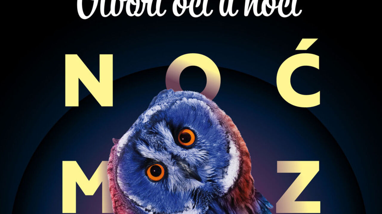 Noć muzeja 2015