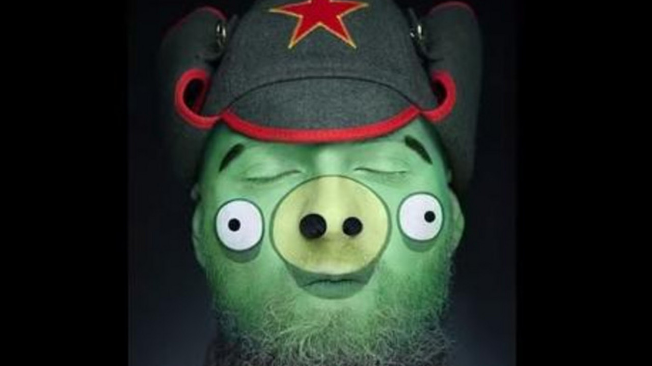 čovek kao svinja