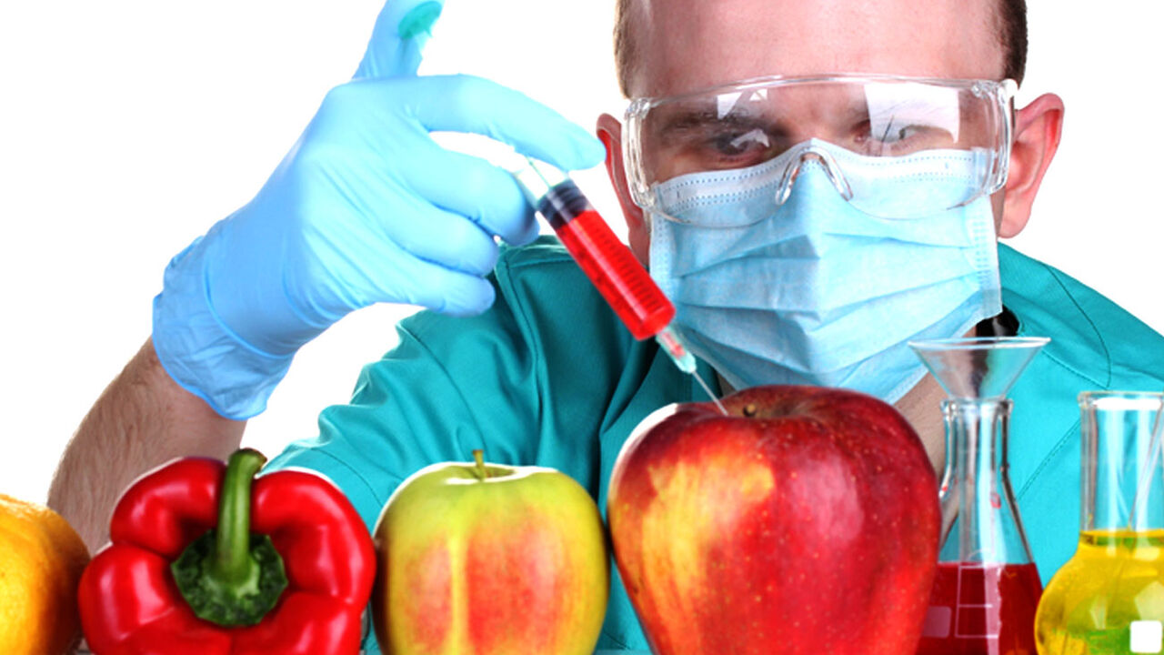 Gmo