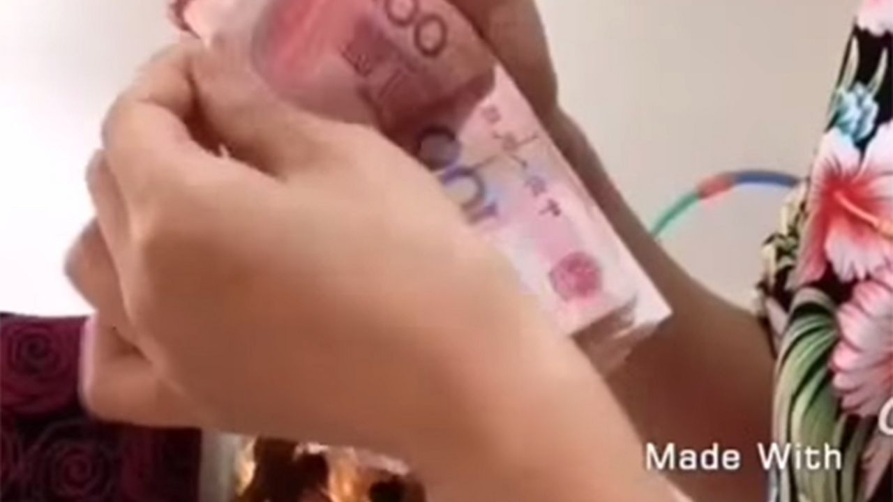 Devojka broji novac