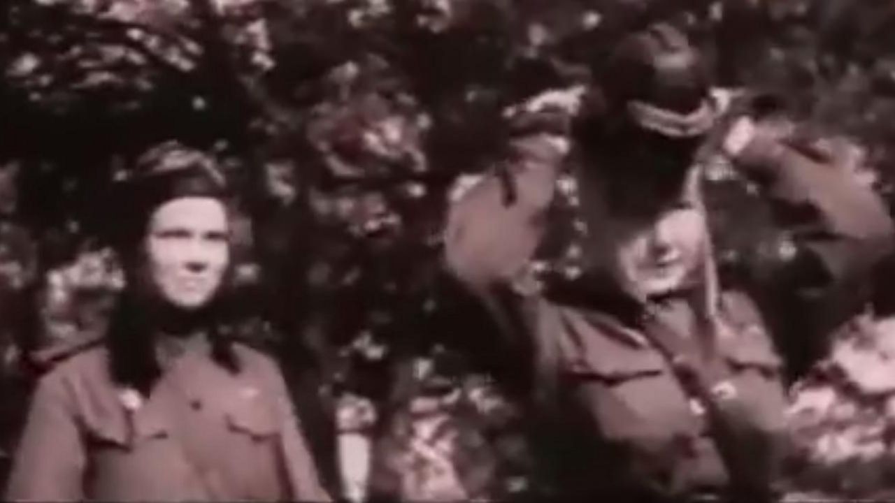 Veštice noći