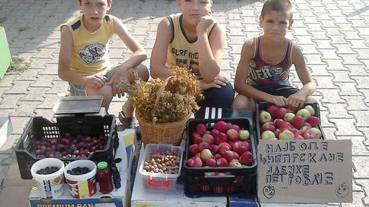 Tri dečaka na pijaci u Lazarevcu skupljaju pare za napuštene pse