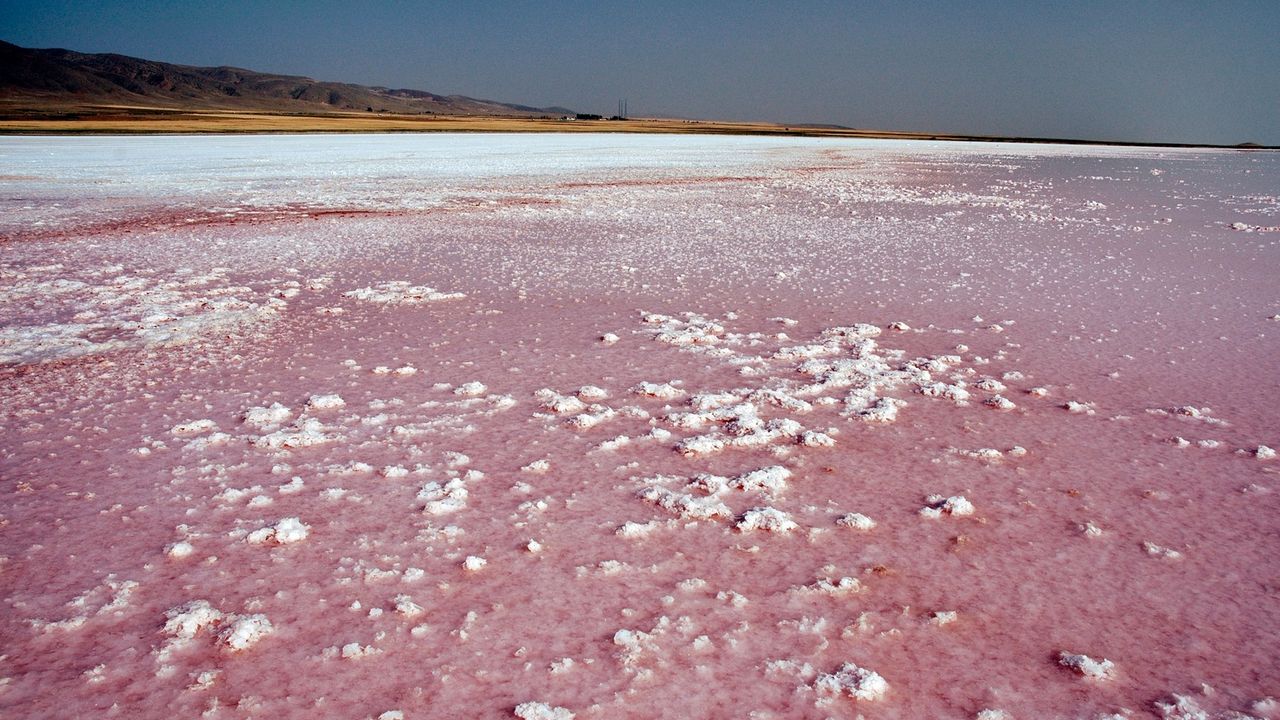 Jezero Tuz