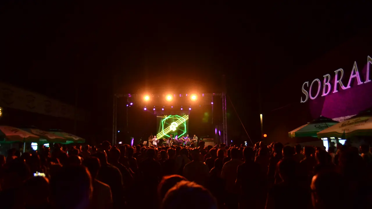 Musicology Festival 2015