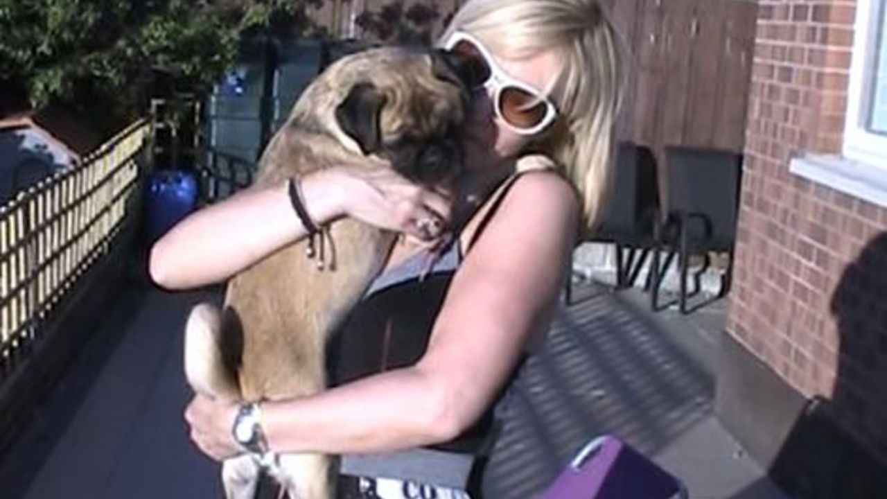 Mops