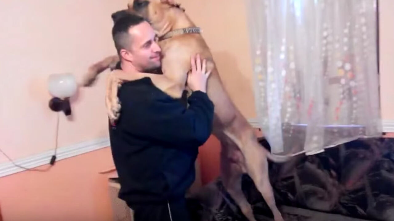 Doga