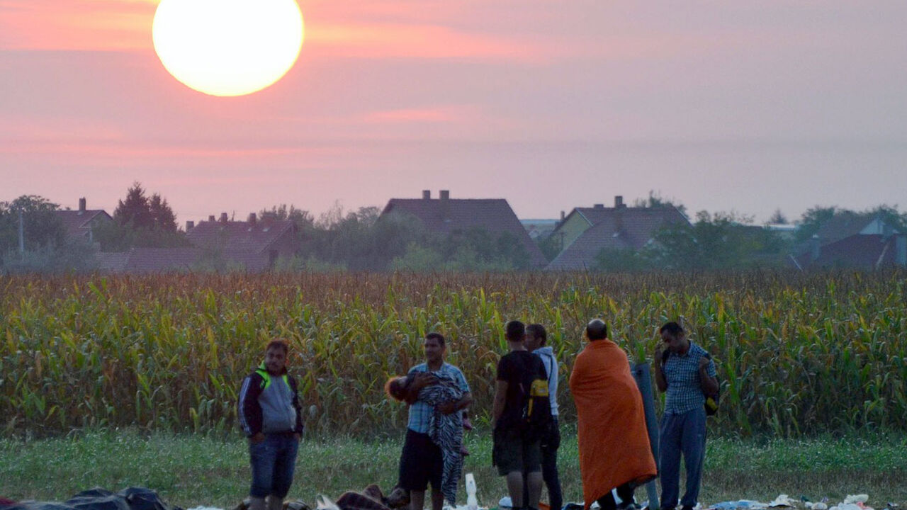 selo migranti