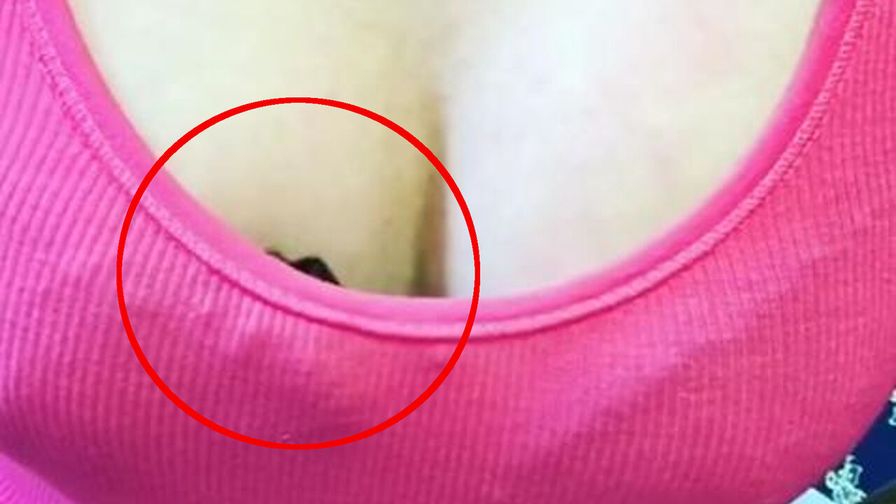 Dekolte