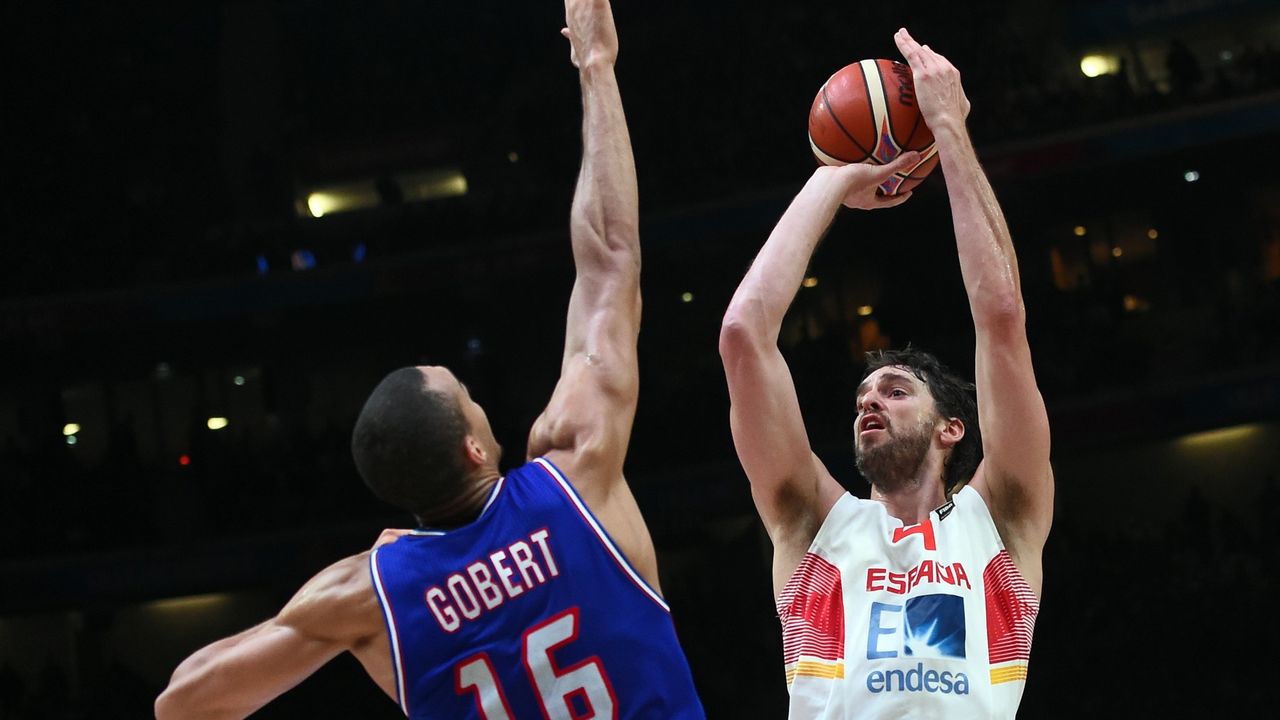 Pau Gasol i Rudi Gober