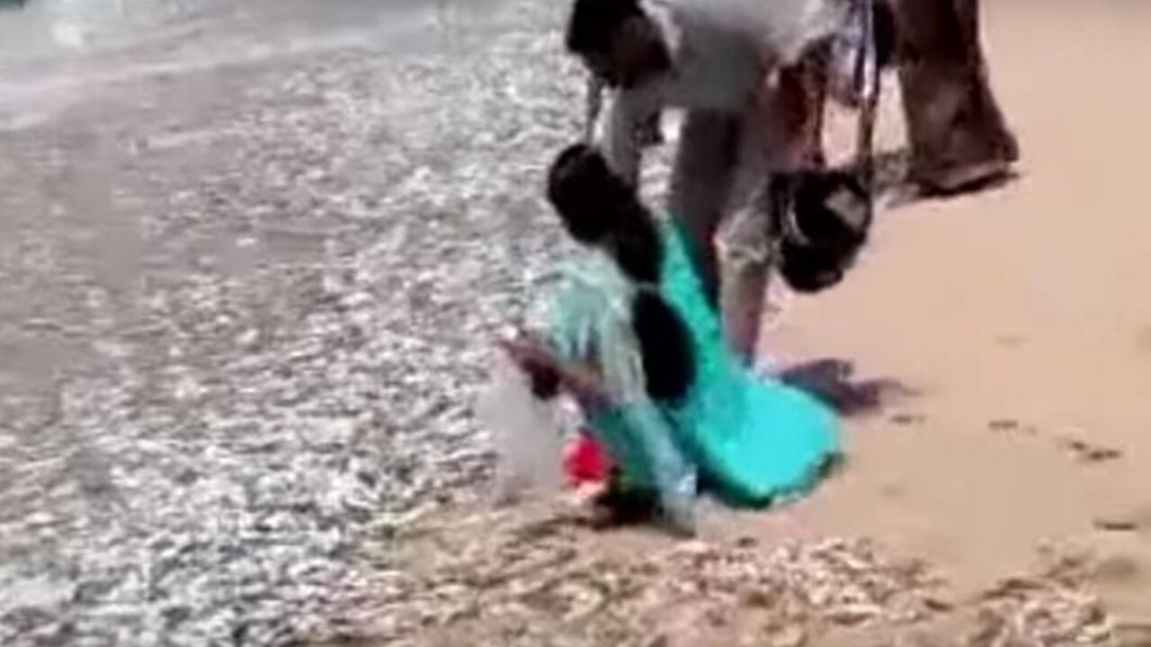 Ribe iskaču na suvo