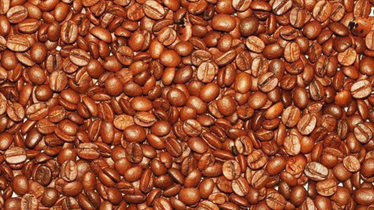 kafa - skrivalica