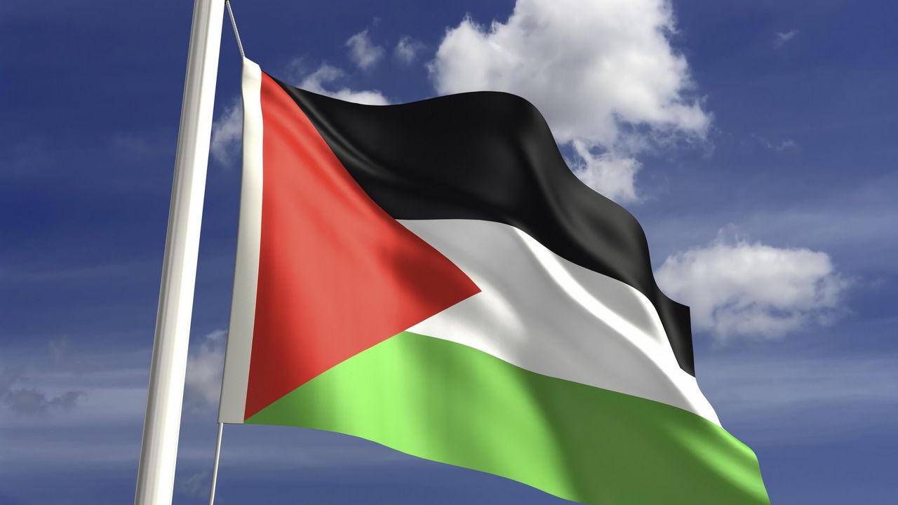 zastava Palestine