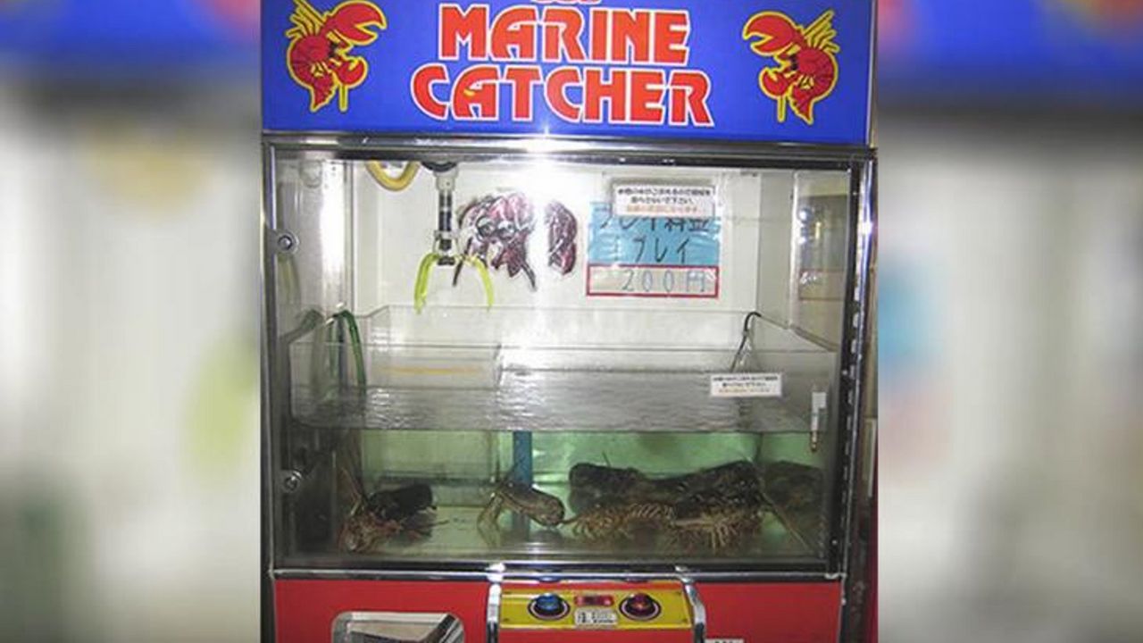 Automat za jastoge