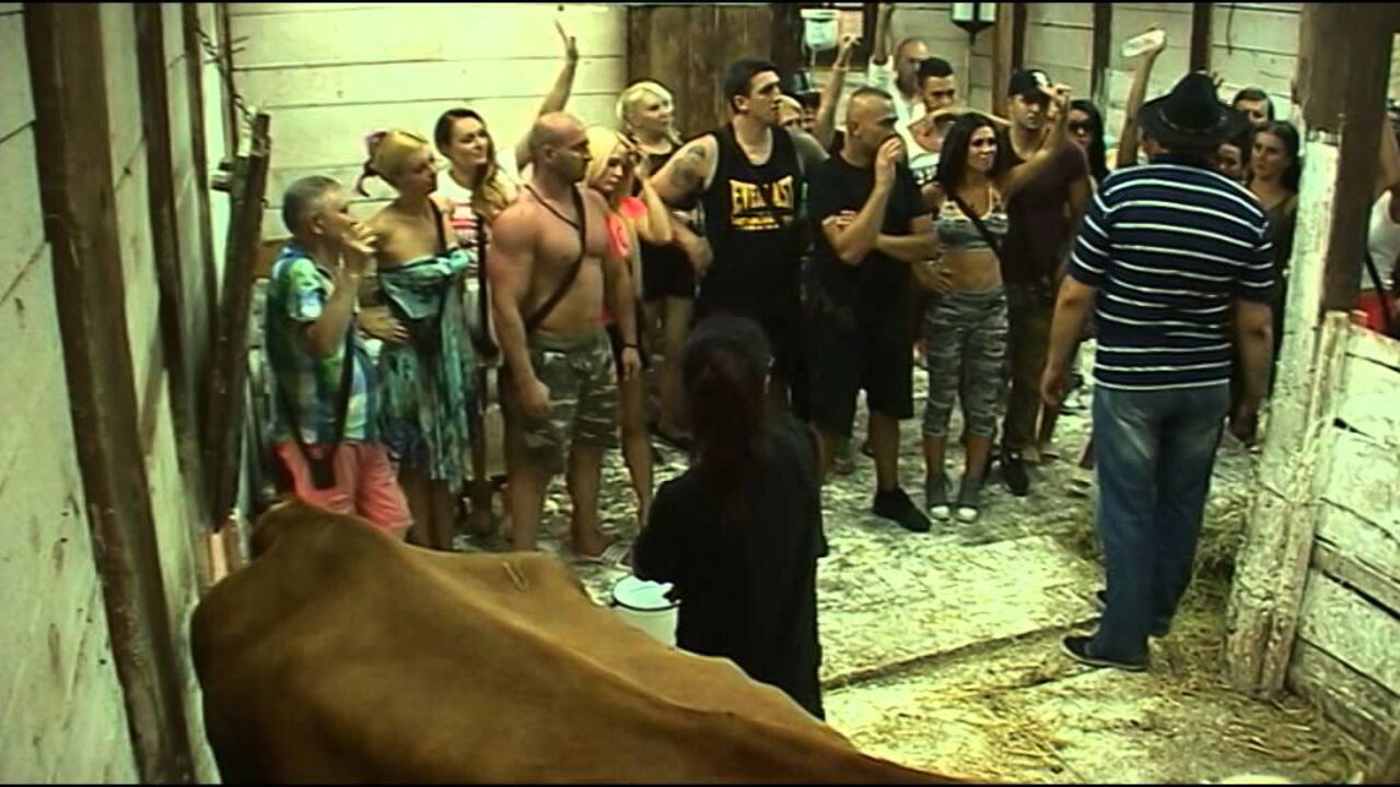 Farma