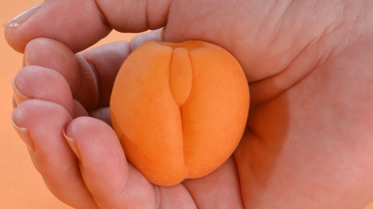 Breskva u obliku vagine