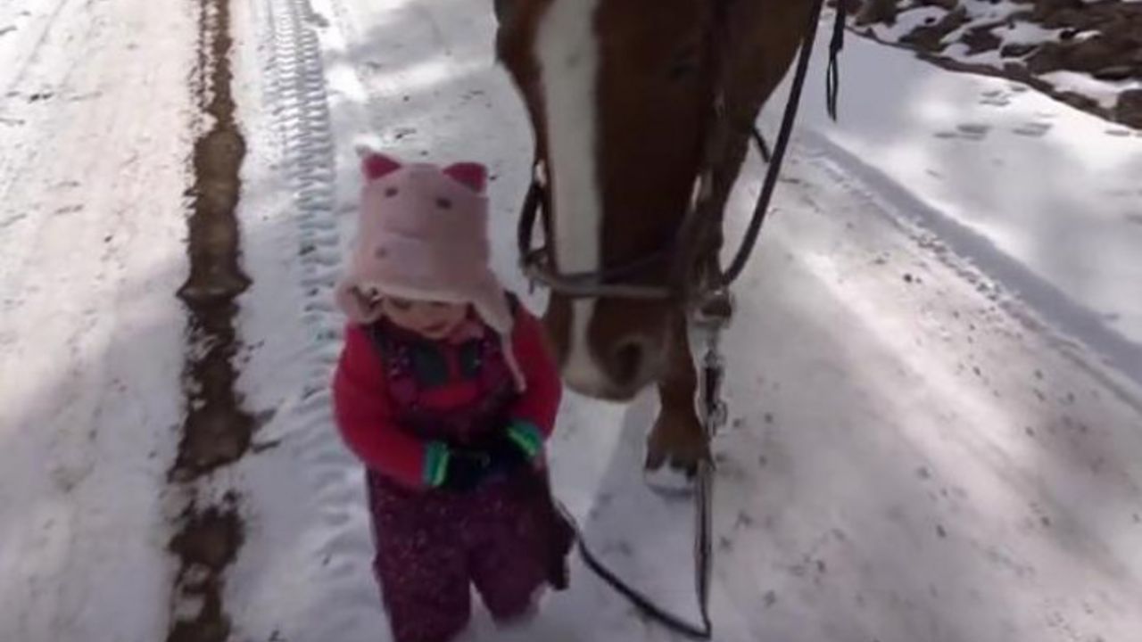 devojčica i konj