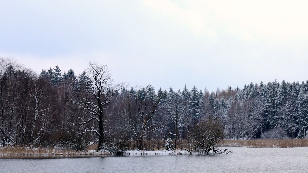 zima