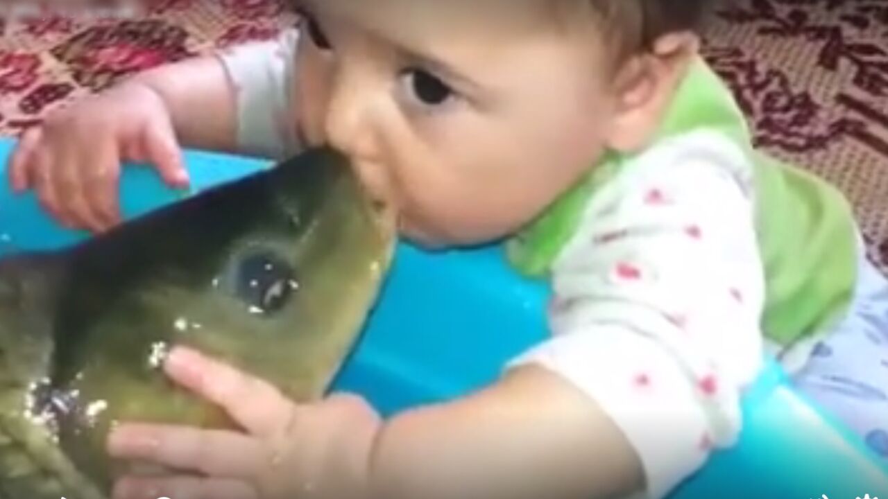 Beba i riba