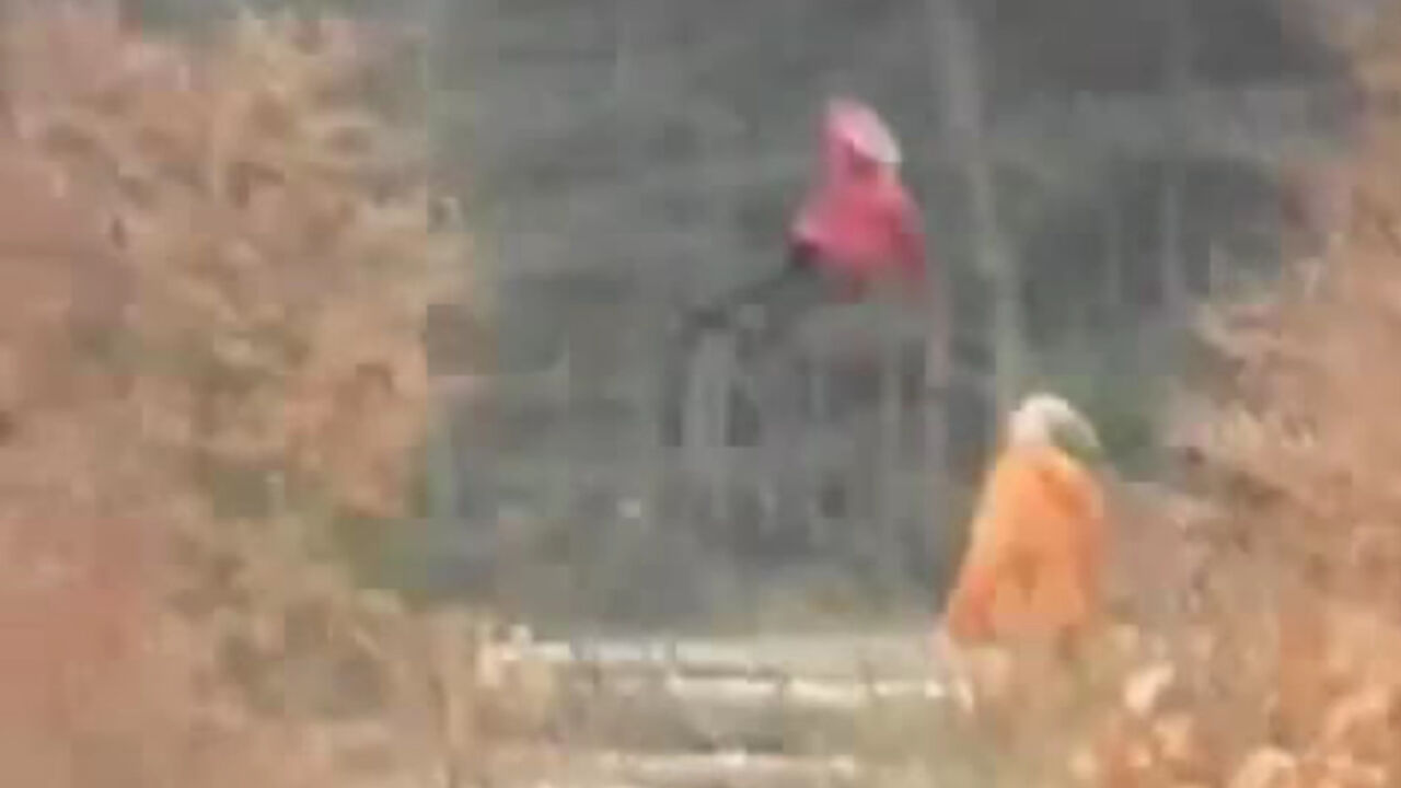 devojčica u prirodi