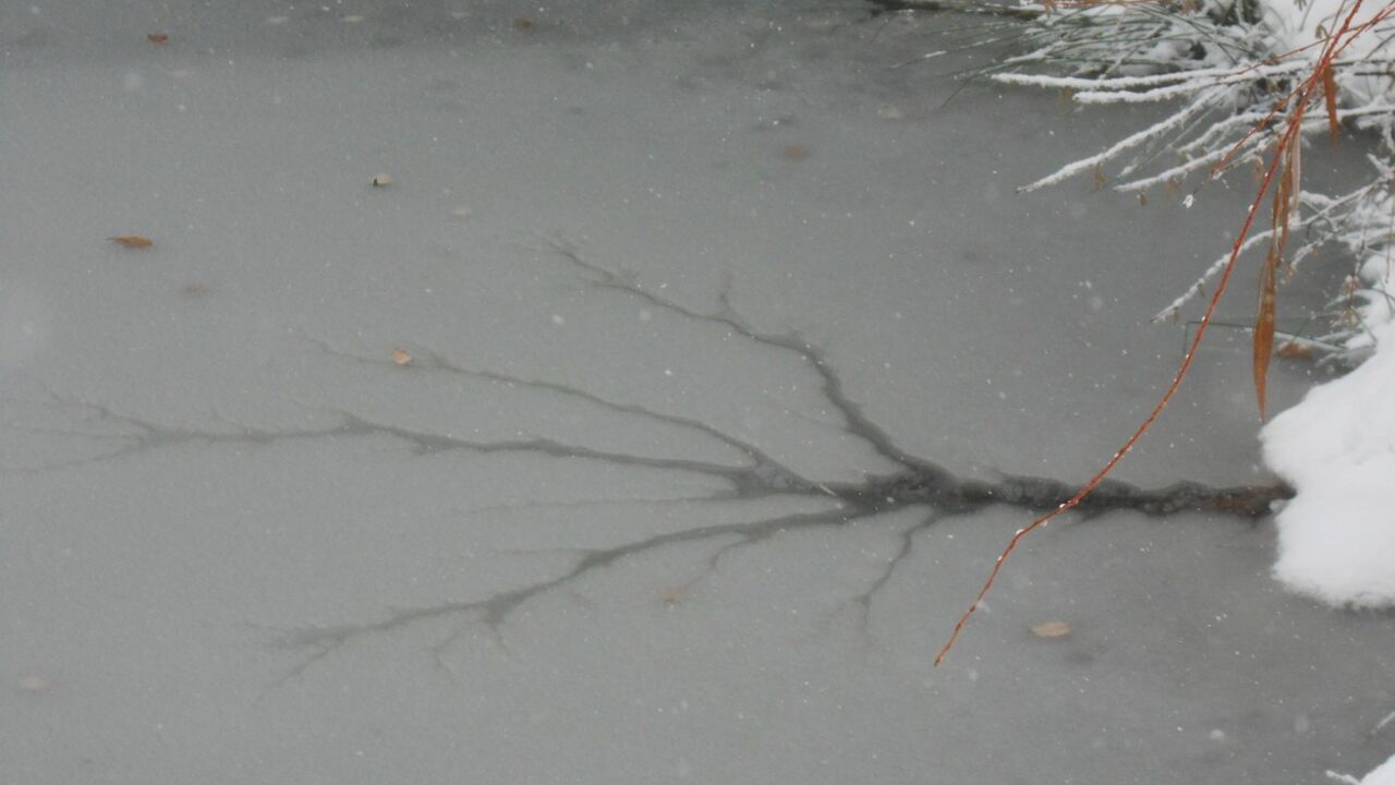 zaleđeni ribnjak