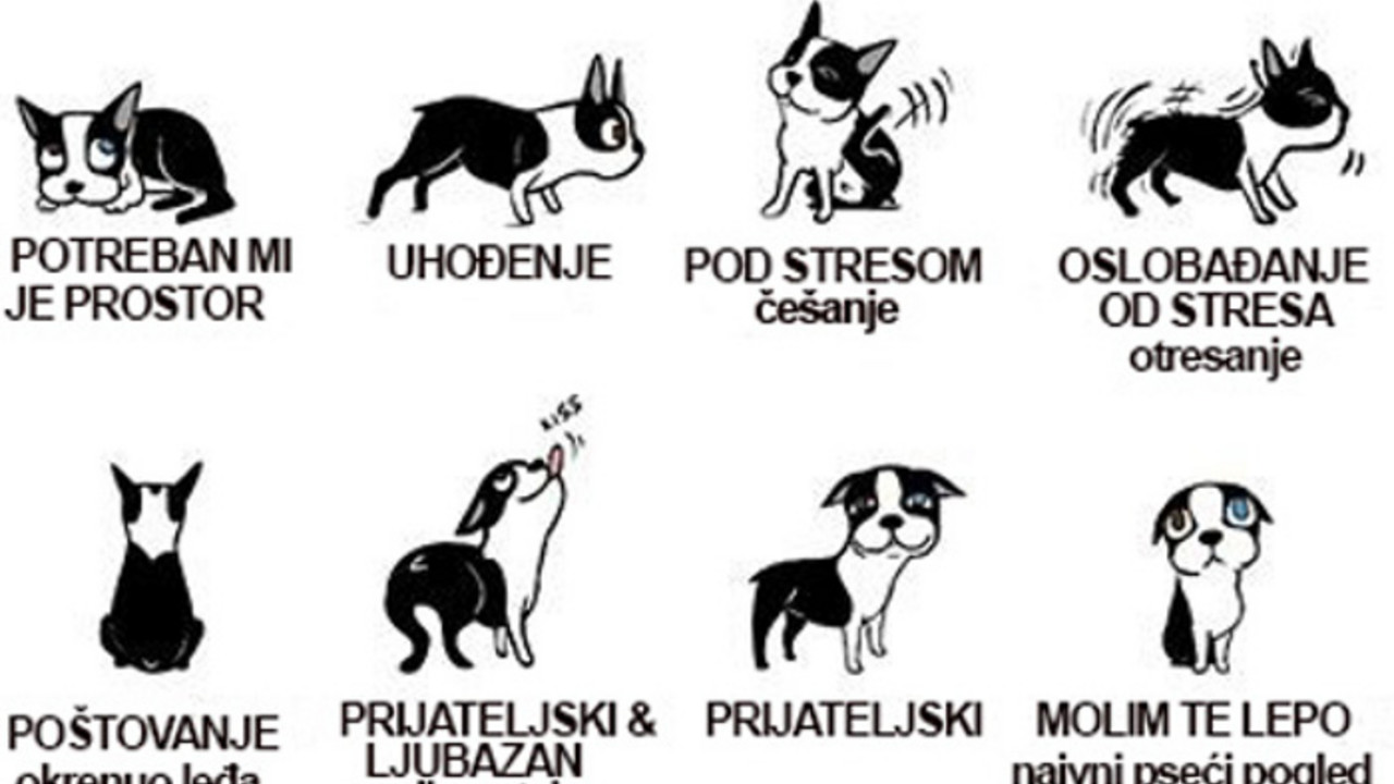 pseći govor